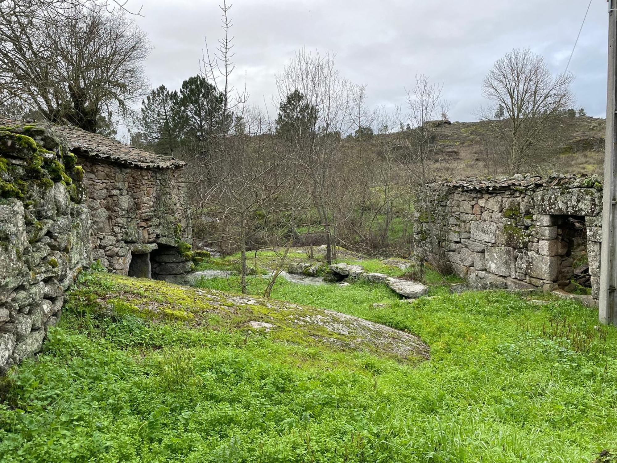 Вилла Casa Dos Moinhos De Aveia Alverca da Beira Экстерьер фото